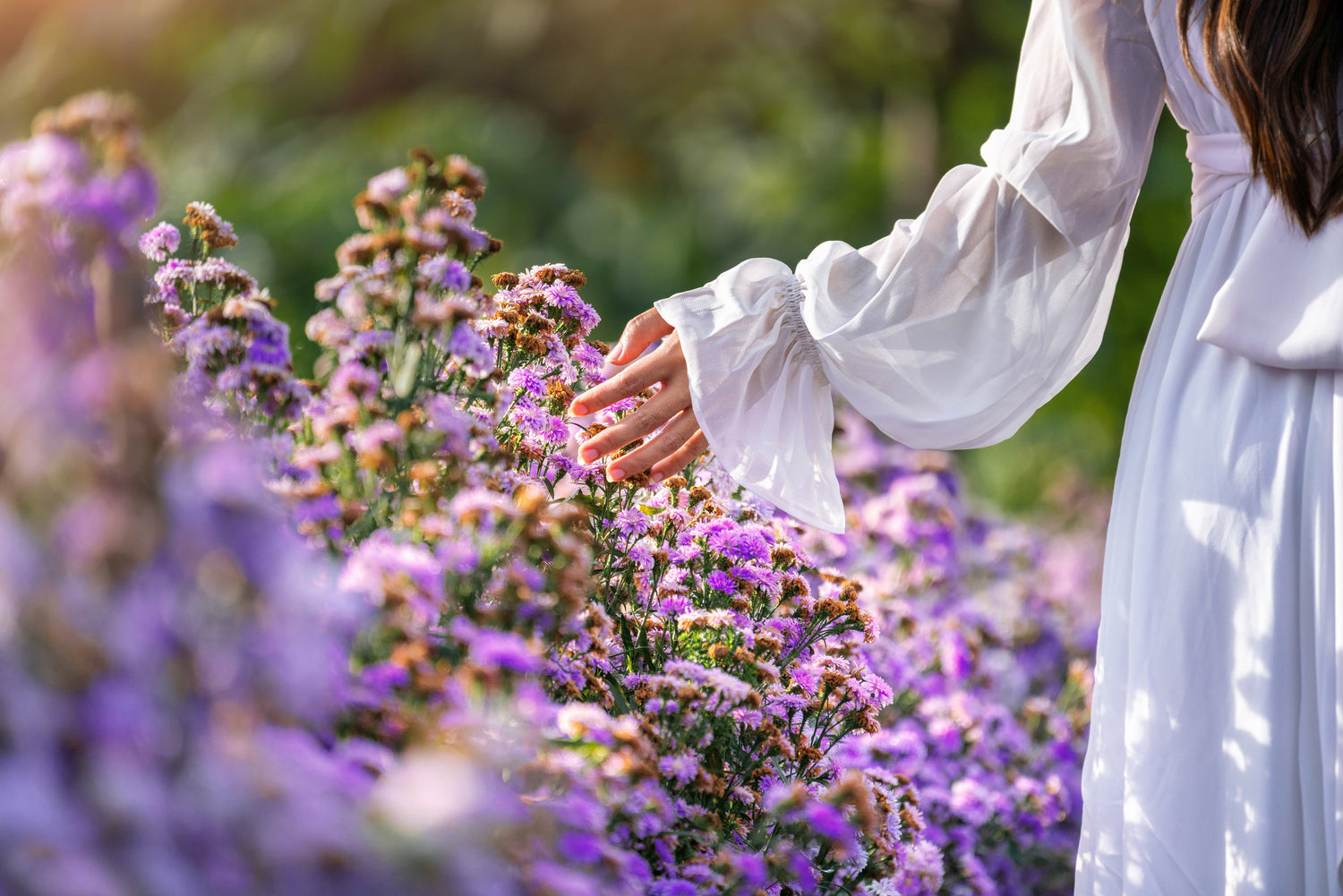 Aromas Florales